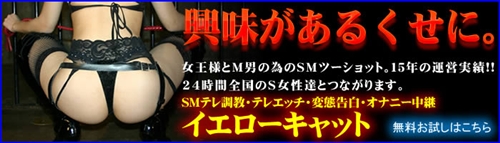 イエローキャット